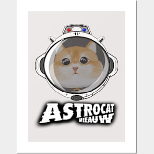 ASTROCAT-MEEAUW Posters and Art